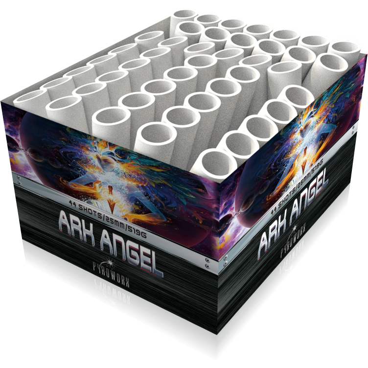 Ark Angel